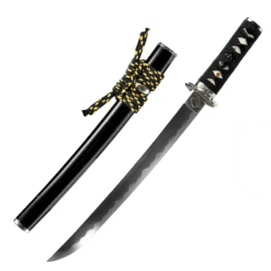Tanto-Schwert Katana